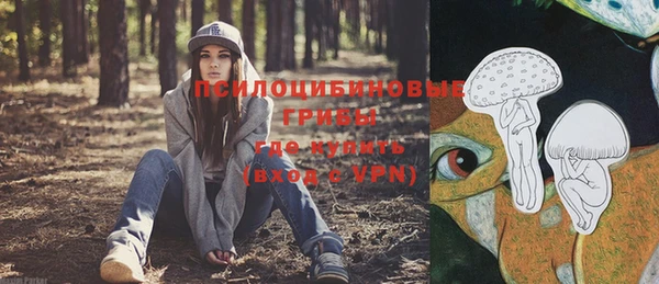 ПСИЛОЦИБИНОВЫЕ ГРИБЫ Армянск